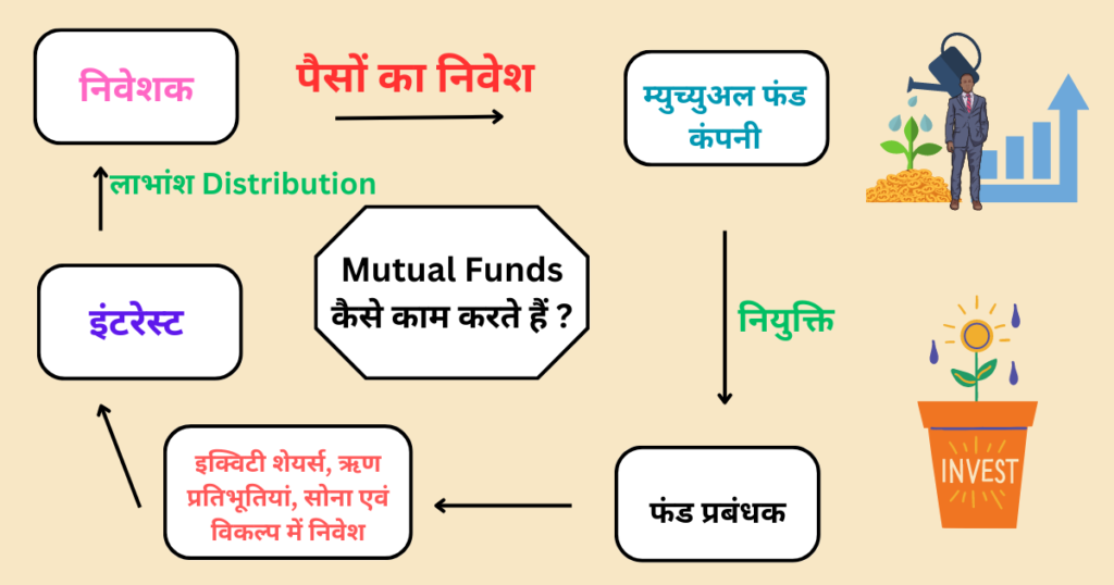 Top 5 Best Mutual Fund For 2024